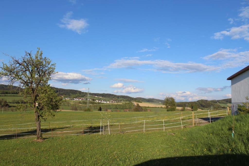 Anno - Die Wohlfuehl - Idylle In Gruenbach_Kirchdorf Kirchdorf im Wald 外观 照片