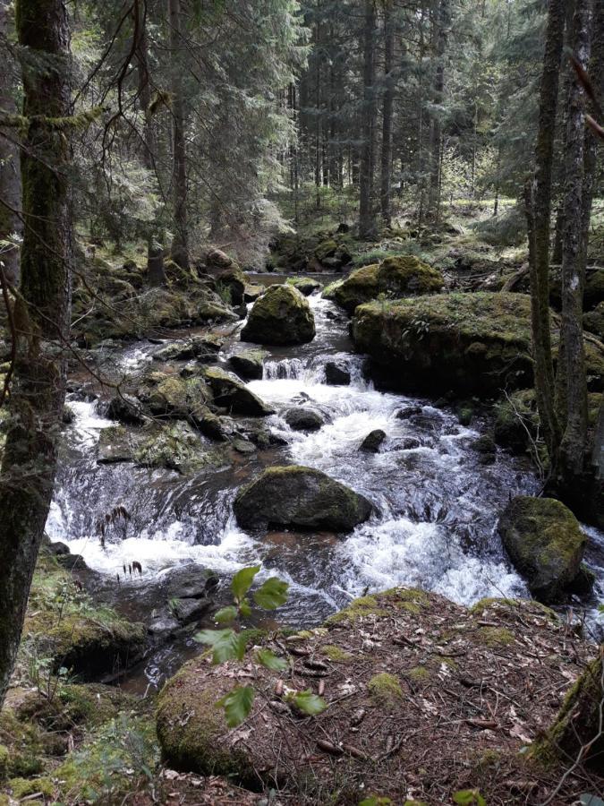 Anno - Die Wohlfuehl - Idylle In Gruenbach_Kirchdorf Kirchdorf im Wald 外观 照片